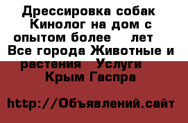 Дрессировка собак (Кинолог на дом с опытом более 10 лет) - Все города Животные и растения » Услуги   . Крым,Гаспра